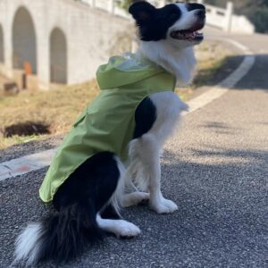 extra large waterproof dog raincoat for big breeds wholesale